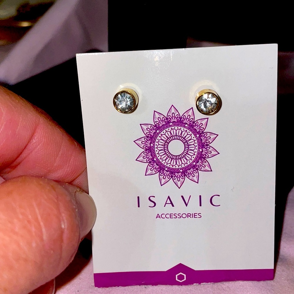 NWT stainless steel earrings
